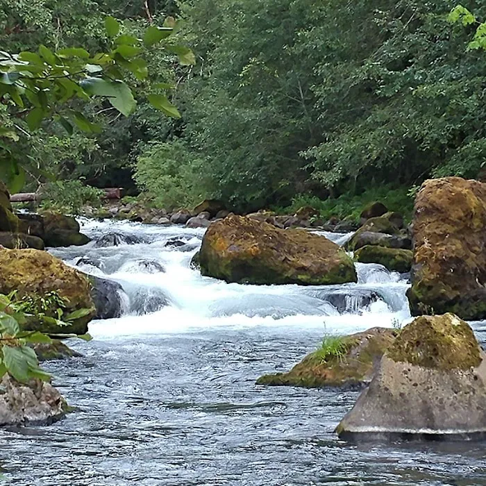 Riverside Campground Picture 9