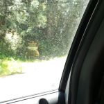 Riverside Campground