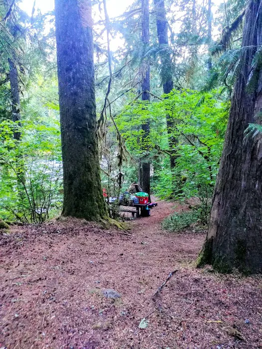 Riverford Campground Picture 8