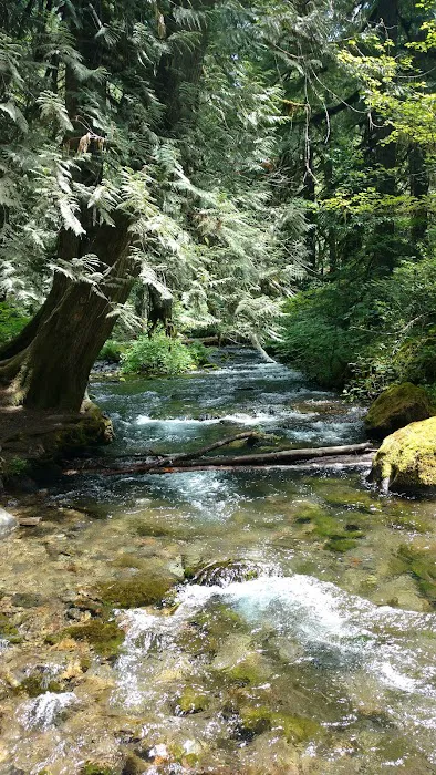 Raab Campground Picture 9