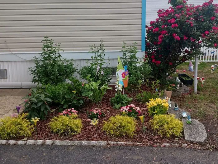 Waples Mobile Home Park Picture 4