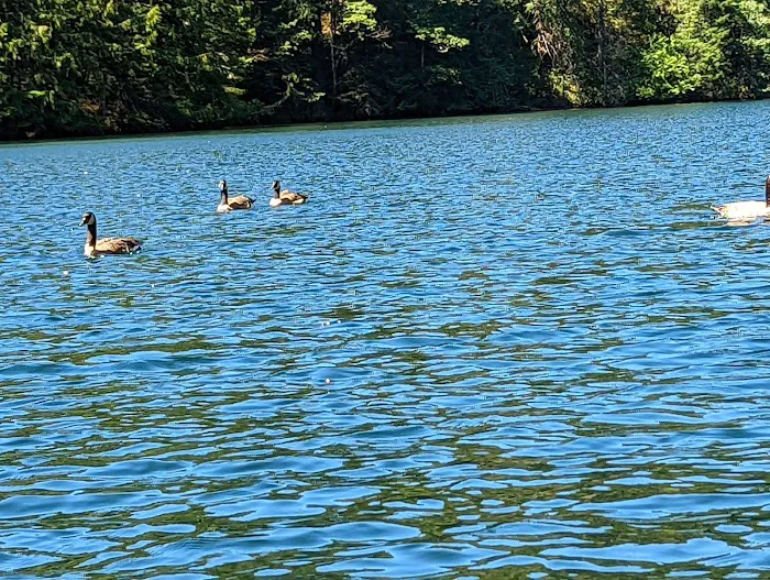 Lake Harriet Campground Picture 4