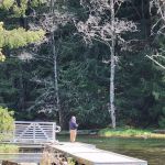 Lake Harriet Campground