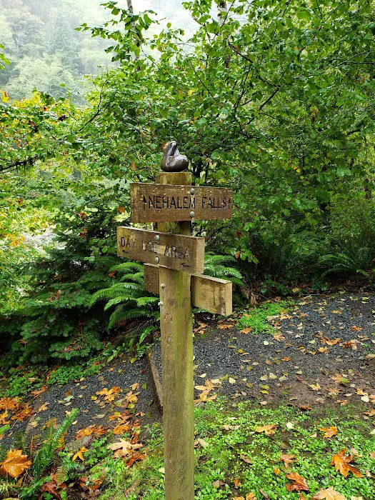 Nehalem Falls Campground Picture 8