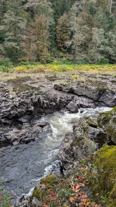 Nehalem Falls Campground Picture 7