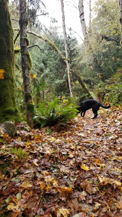 Nehalem Falls Campground Picture 9