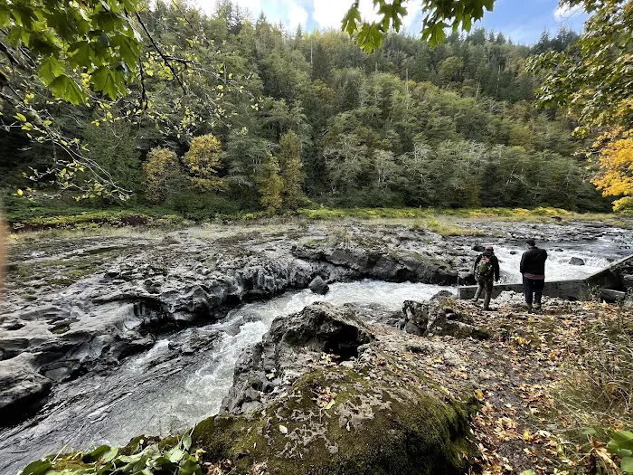 Nehalem Falls Campground Picture 2