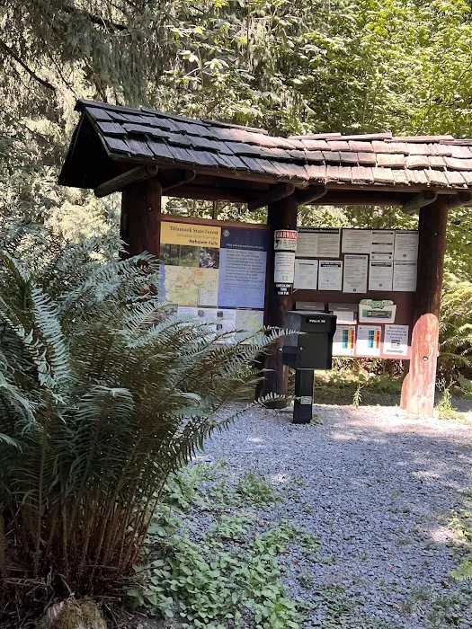 Nehalem Falls Campground Picture 1