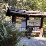 Nehalem Falls Campground