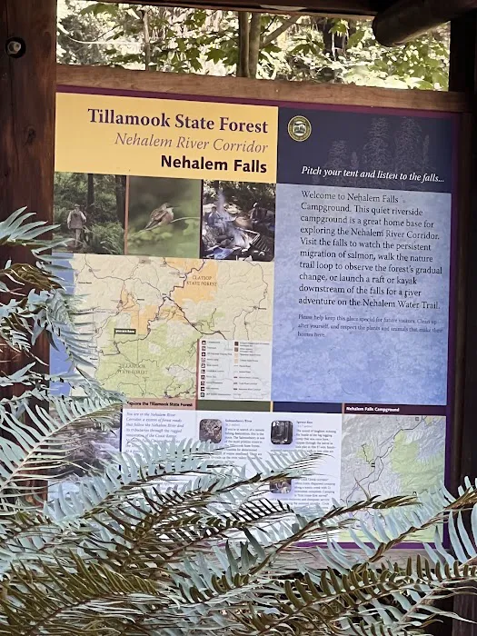 Nehalem Falls Campground Picture 3
