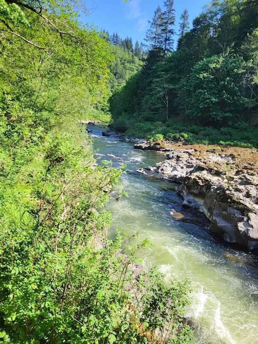 Nehalem Falls Campground Picture 4