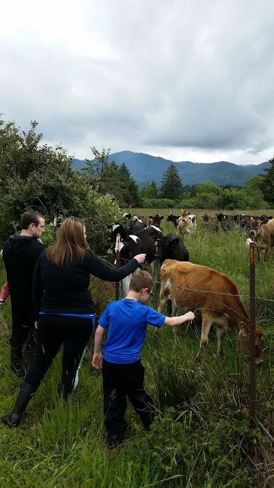 Twins Ranch LLC Picture 3