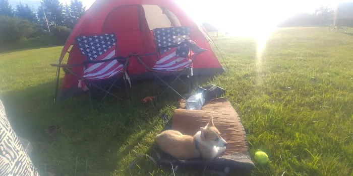 Twins Ranch LLC Picture 4