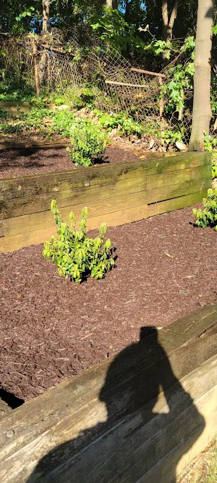 Elm Farm Park Picture 5