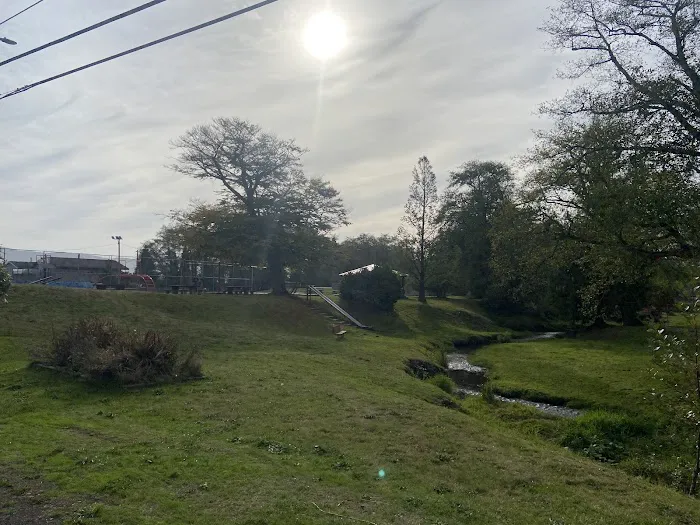 Bay City Campground Picture 4