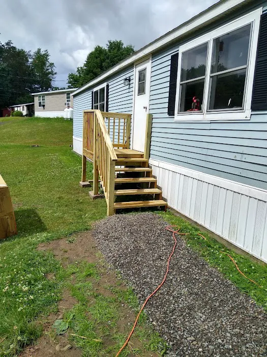 Pine Woods Picture 3