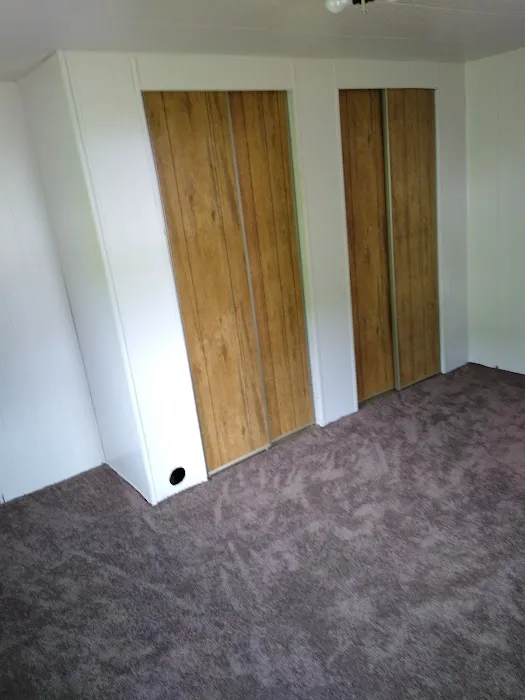 Pine Woods Picture 2