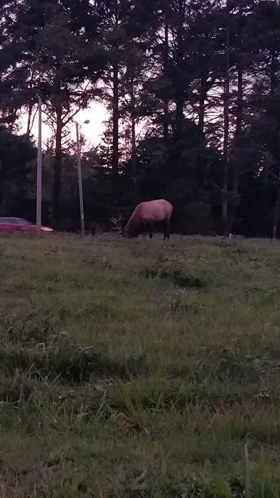 Wright's For Camping Picture 2