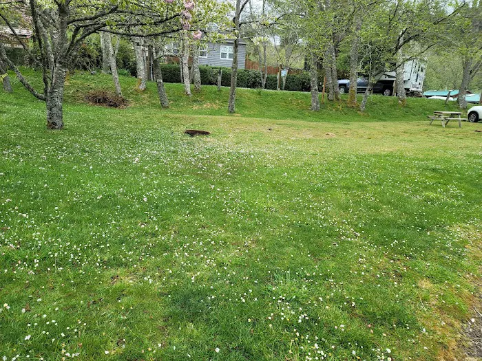 Sea Ranch RV Park Picture 4