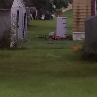 Virginia City Mobile Home Court ico