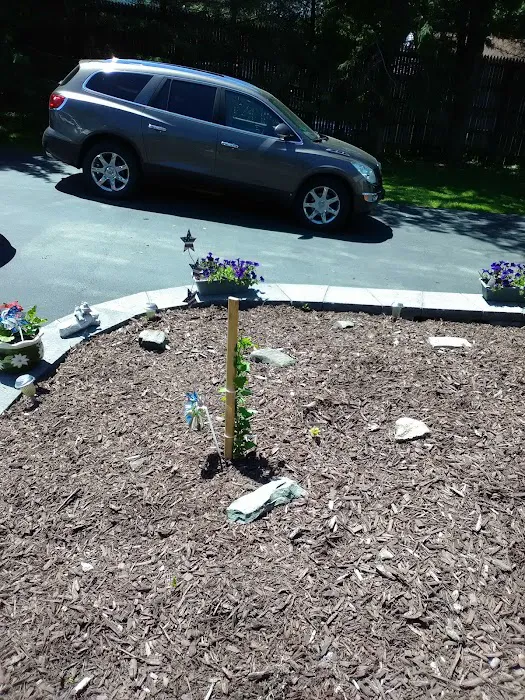 Virginia City Mobile Home Court Picture 10