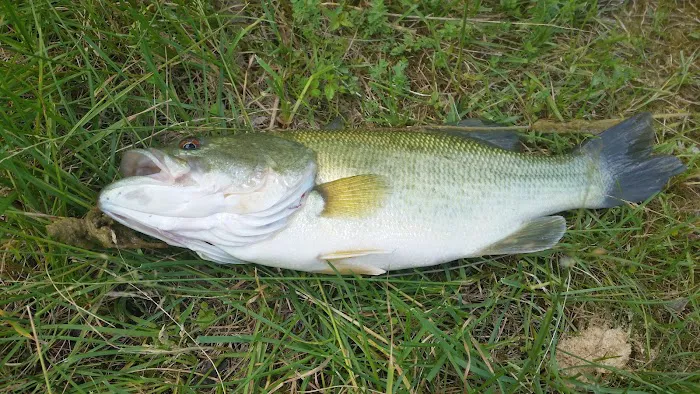 hickory ridge trailer park Picture 2