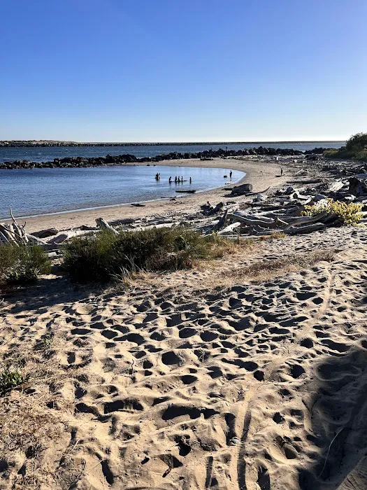 Barview Jetty County Campground Picture 9