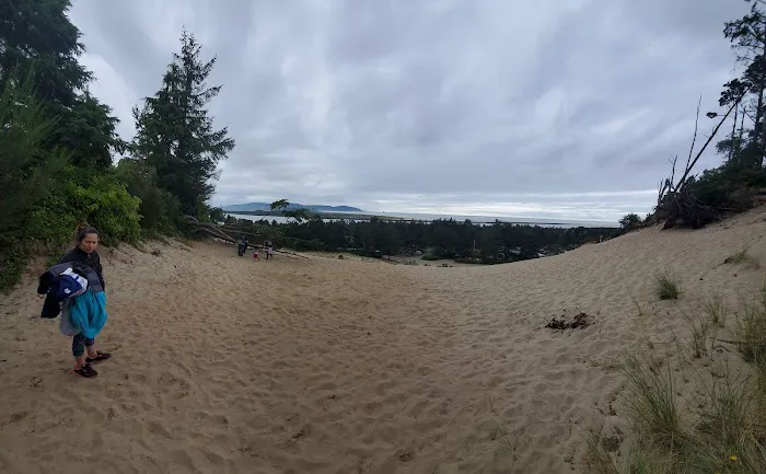 Barview Jetty County Campground Picture 7