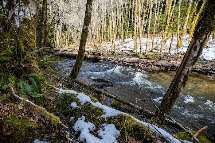 Nestucca River Recreation Area Picture 6