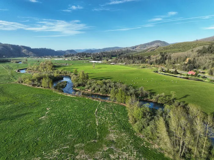 Nestucca River Recreation Area Picture 8