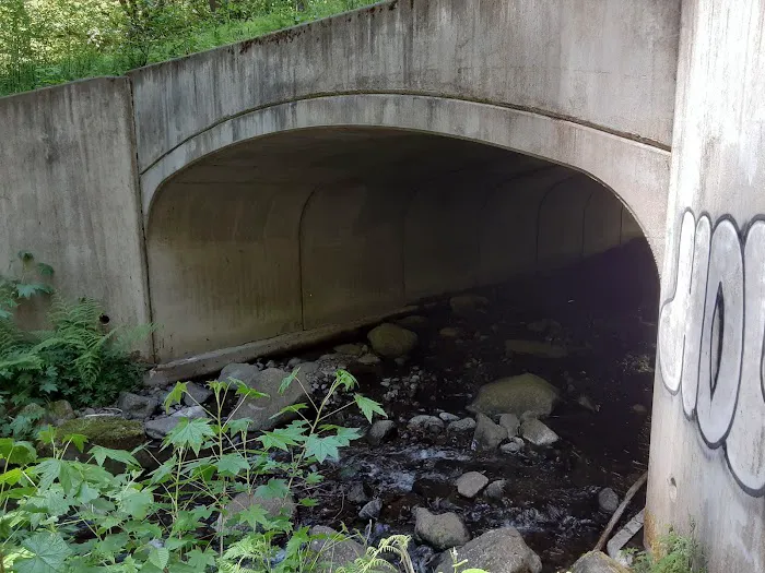 Fan Creek Campground Picture 3