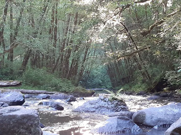 Fan Creek Campground Picture 5