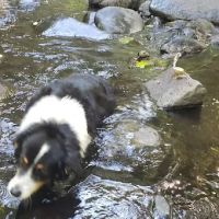 Fan Creek Campground ico