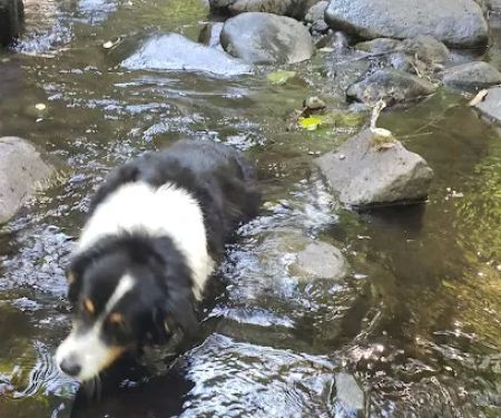 Fan Creek Campground