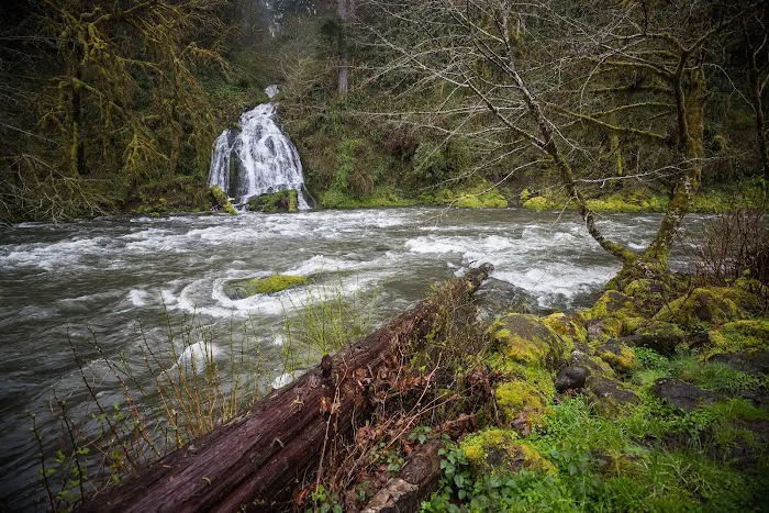Alder Glen Recreation Site Picture 10