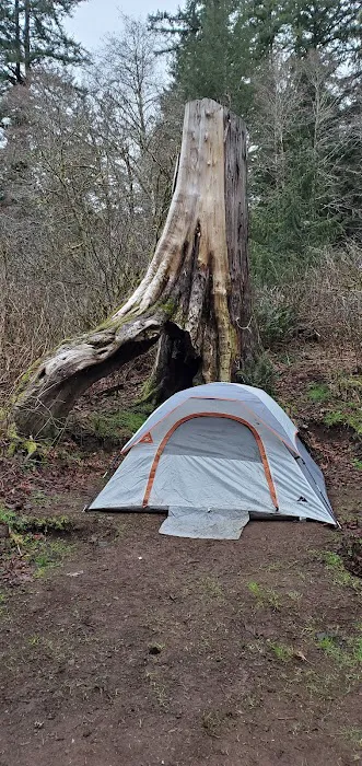 Alder Glen Recreation Site Picture 2
