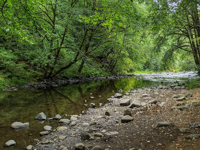 Alder Glen Recreation Site Picture 5