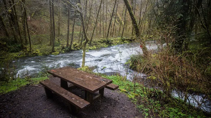 Alder Glen Recreation Site Picture 6
