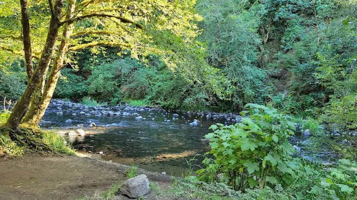 Alder Glen Recreation Site Picture 8