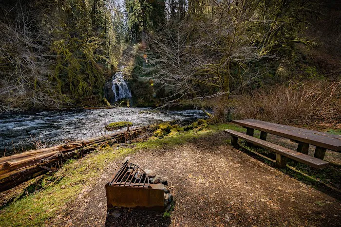 Alder Glen Recreation Site Picture 4