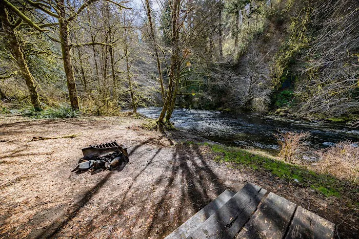 Alder Glen Recreation Site Picture 9