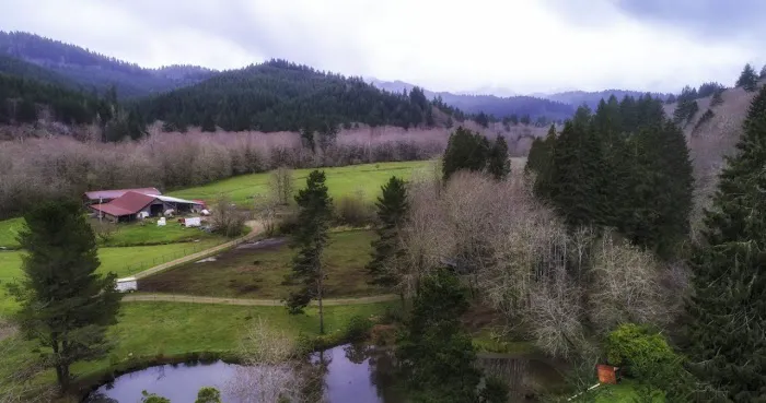 Powder Creek Campground Picture 6