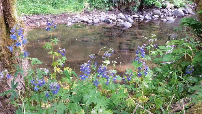 Powder Creek Campground Picture 8