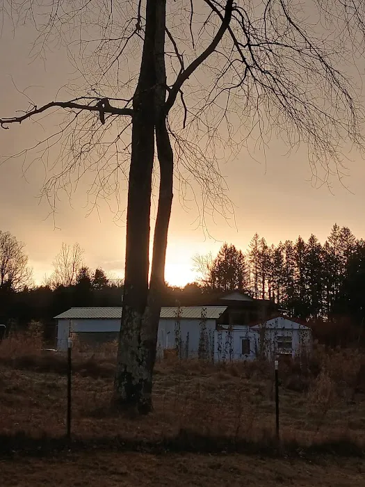 Sugar Creek Rv Park Picture 2