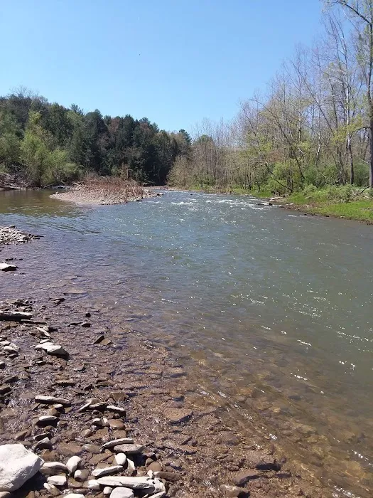 Sugar Creek Rv Park Picture 1