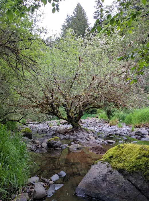 Rocky Bend Campground Picture 9