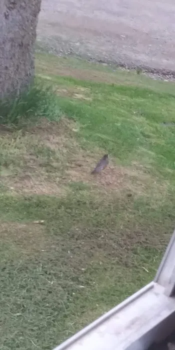 Riverside Estates - Mobile Home Community Picture 1