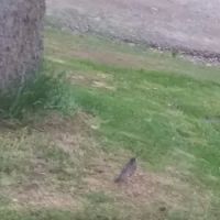 Riverside Estates - Mobile Home Community ico