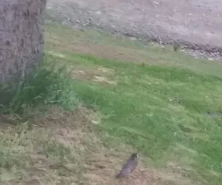 Riverside Estates - Mobile Home Community