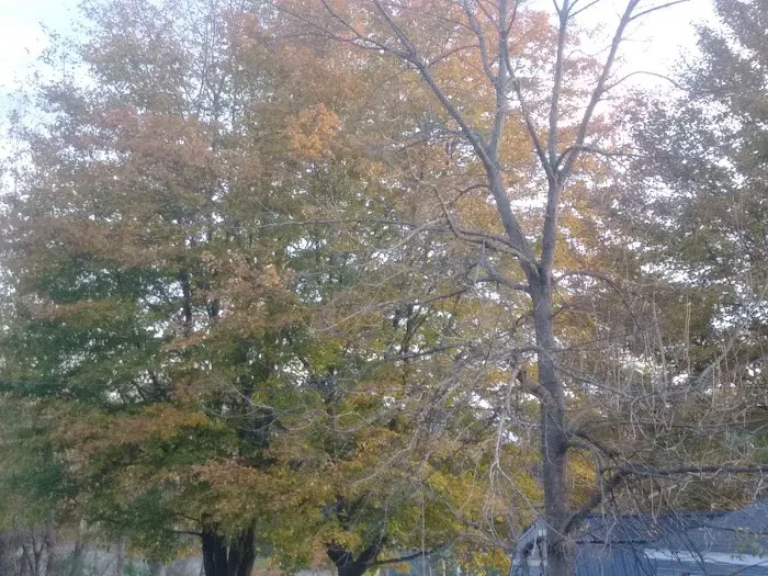 Riverside Estates - Mobile Home Community Picture 5